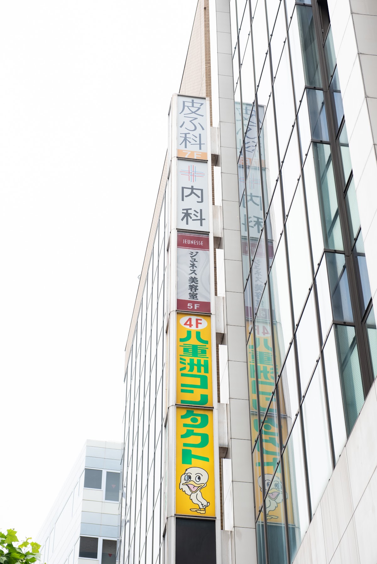 Shibuya Scramble Dermatology