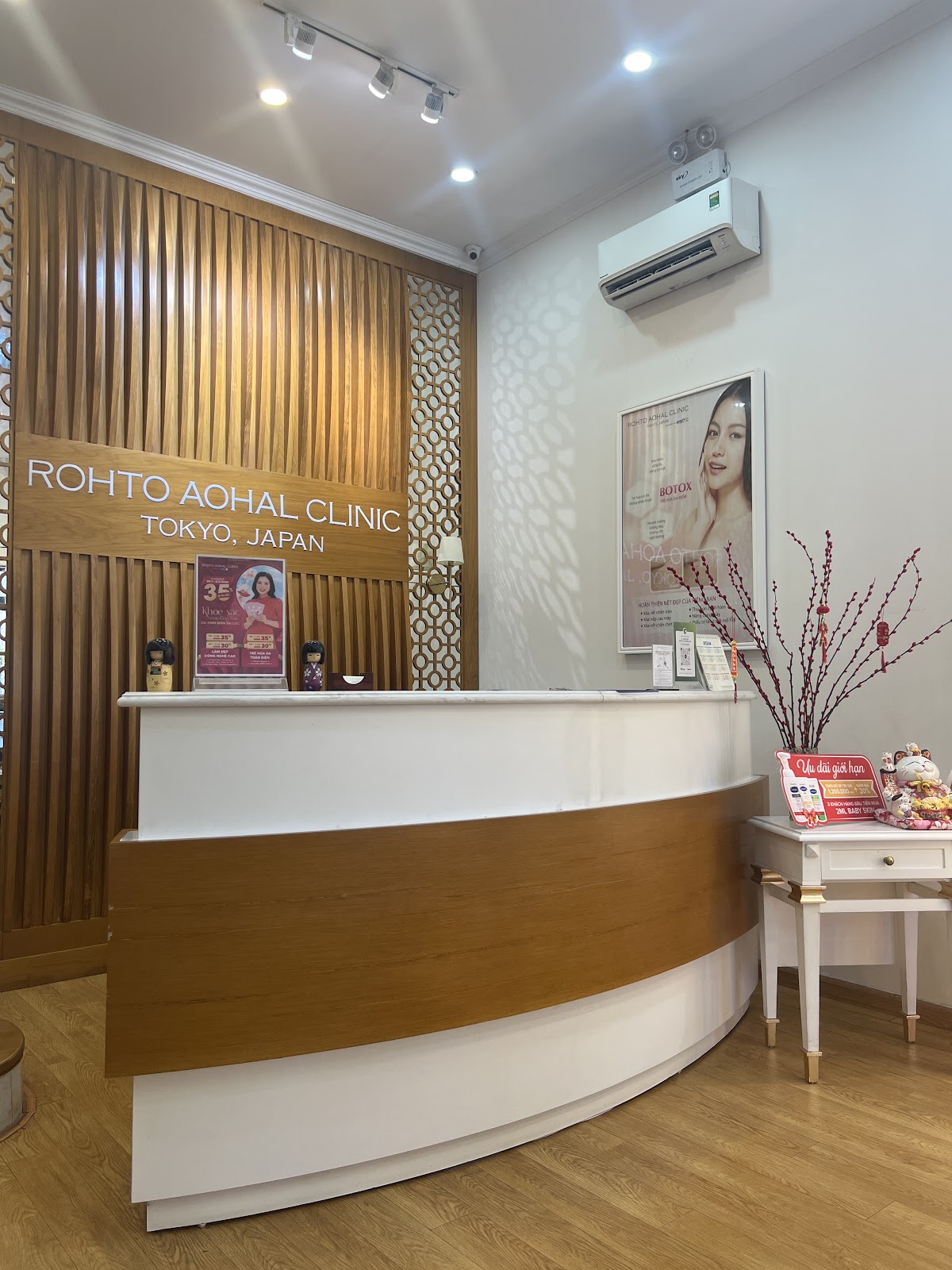 ROHTO AOHAL CLINIC - Triệu Việt Vương