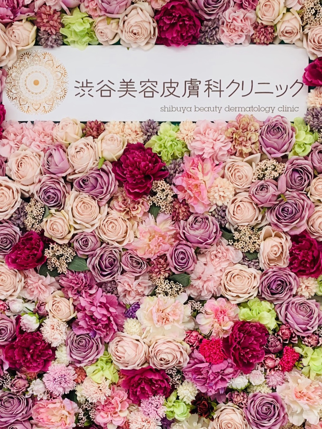 Shibuyabiyohifuka Clinic